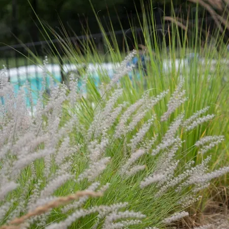 Les Hauts De Chaunac - Dar Diaf Casa vacanze