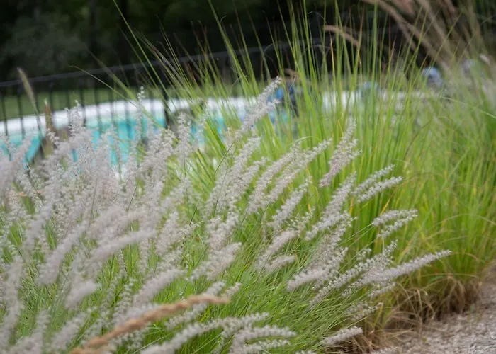 Les Hauts De Chaunac - Dar Diaf Hébergement de vacances